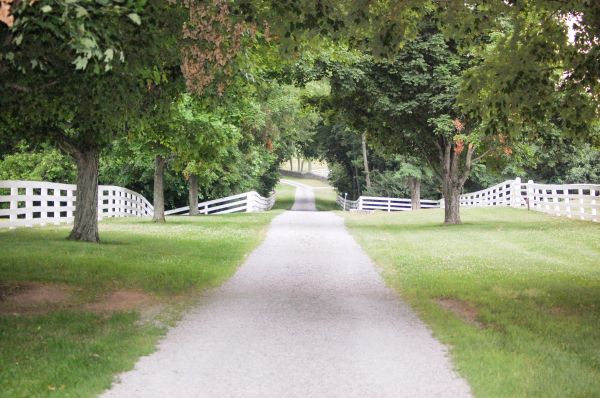 Gravel Driveway Construction in Saint Cloud
