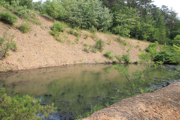 Pond Erosion Repair in Saint Cloud