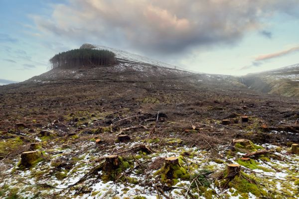Hill Removal in Saint Cloud